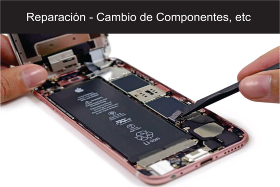 Componentes tips asesoria Iphone Apple